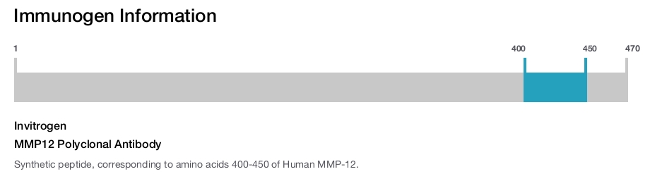 MMP12 Polyclonal Antibody