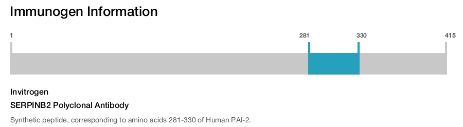 SERPINB2 Polyclonal Antibody