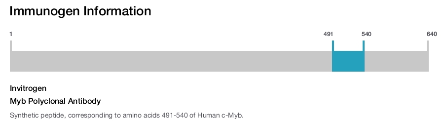 Myb Polyclonal Antibody