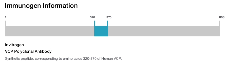 VCP Polyclonal Antibody
