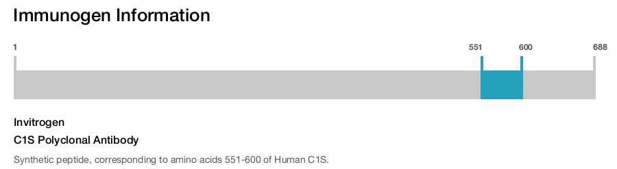C1S Polyclonal Antibody