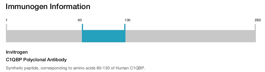 C1QBP Polyclonal Antibody