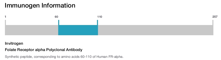 Folate Receptor alpha Polyclonal Antibody