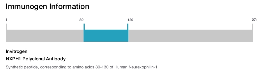NXPH1 Polyclonal Antibody