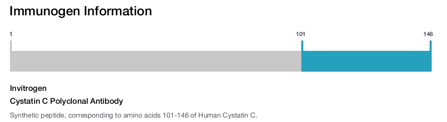Cystatin C Polyclonal Antibody