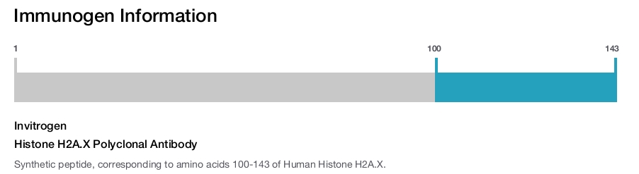 Histone H2A.X Polyclonal Antibody