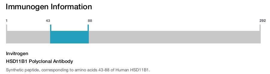 HSD11B1 Polyclonal Antibody