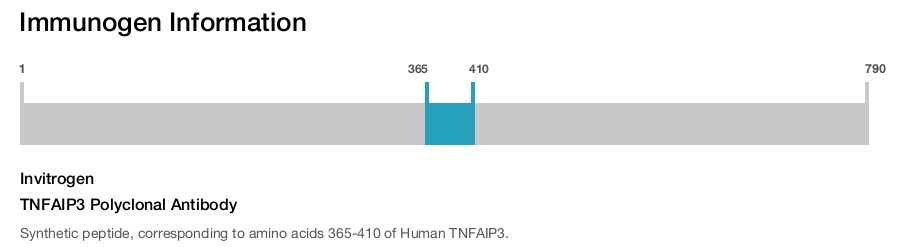 TNFAIP3 Polyclonal Antibody