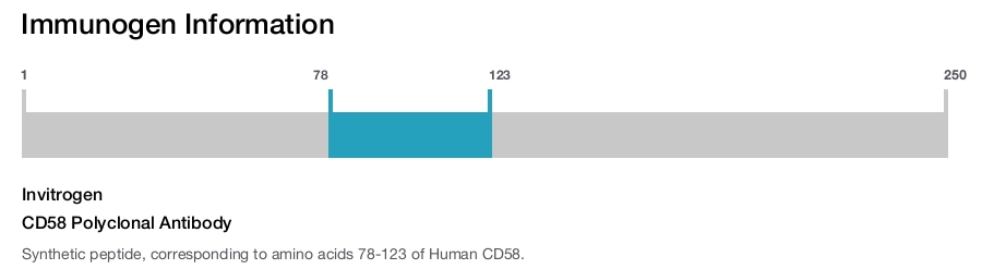 CD58 Polyclonal Antibody