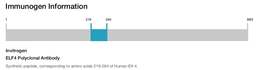 ELF4 Polyclonal Antibody