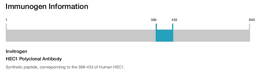 HEC1 Polyclonal Antibody