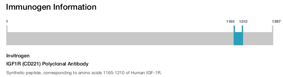IGF1R (CD221) Polyclonal Antibody