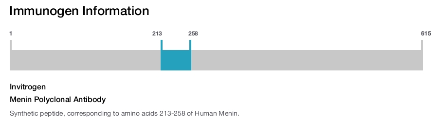Menin Polyclonal Antibody