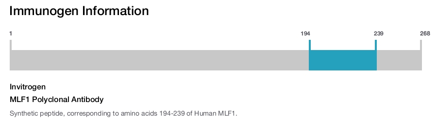 MLF1 Polyclonal Antibody