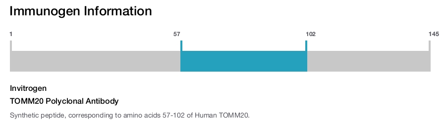 TOMM20 Polyclonal Antibody