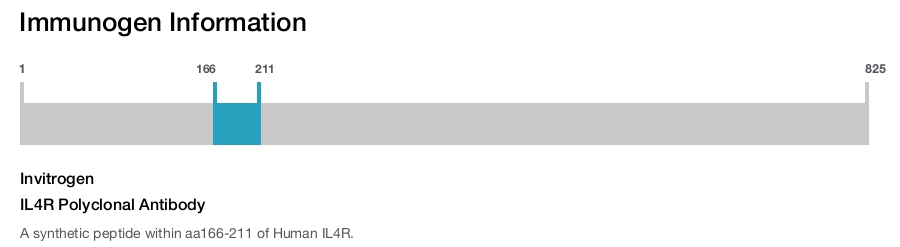 IL4R Polyclonal Antibody