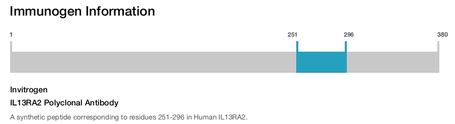 IL13RA2 Polyclonal Antibody