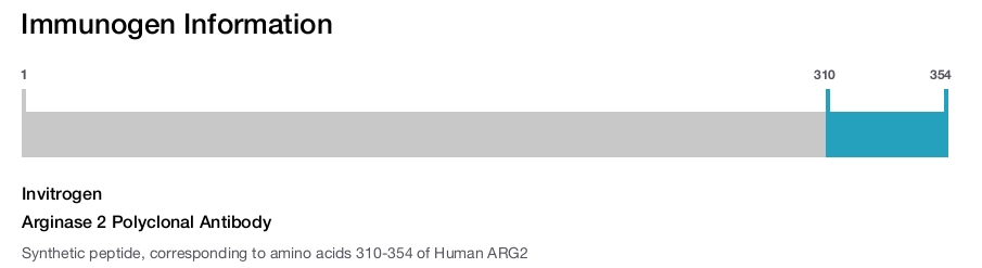 Arginase 2 Polyclonal Antibody
