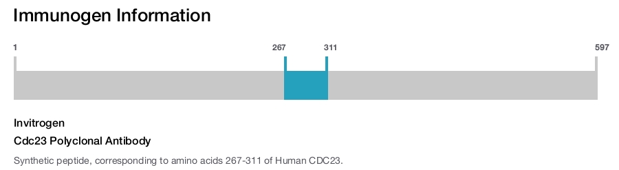 Cdc23 Polyclonal Antibody