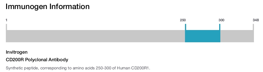 CD200R Polyclonal Antibody