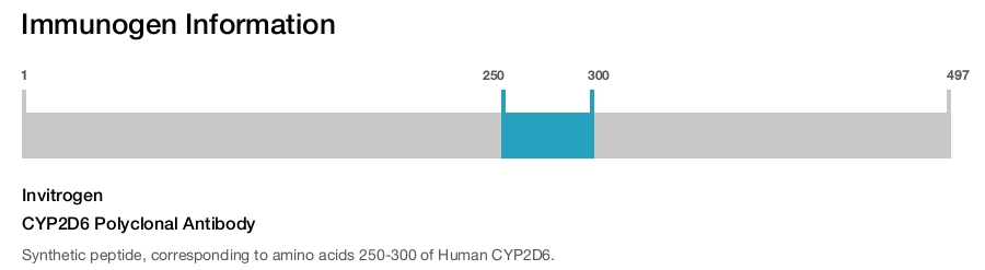 CYP2D6 Polyclonal Antibody