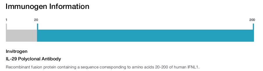 IL-29 Polyclonal Antibody