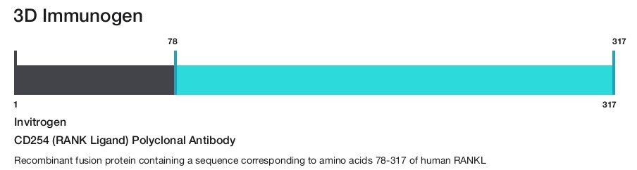 CD254 (RANK Ligand) Polyclonal Antibody