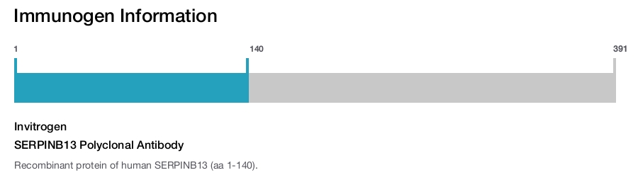 SERPINB13 Polyclonal Antibody
