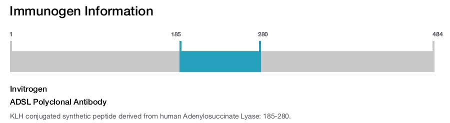 ADSL Polyclonal Antibody