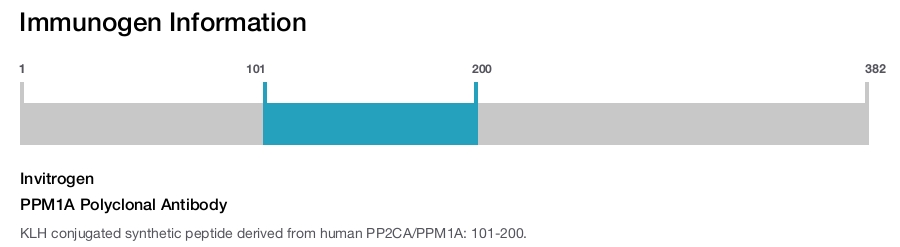 PPM1A Polyclonal Antibody