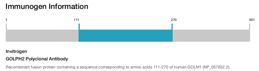 GOLPH2 Polyclonal Antibody
