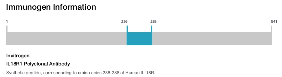 IL18R1 Polyclonal Antibody