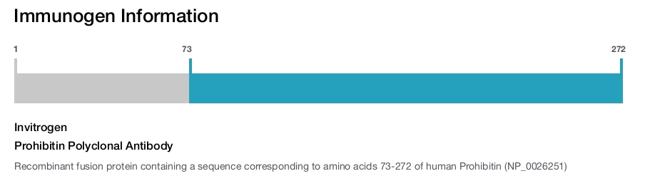 Prohibitin Polyclonal Antibody