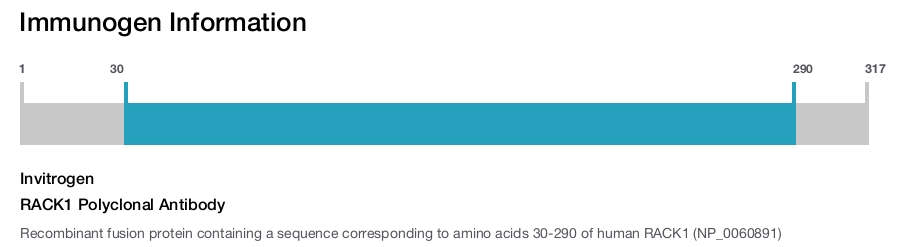 RACK1 Polyclonal Antibody