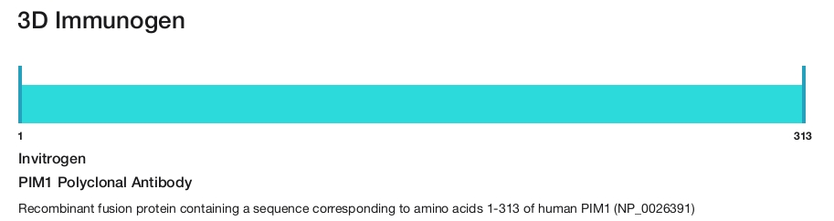 PIM1 Polyclonal Antibody