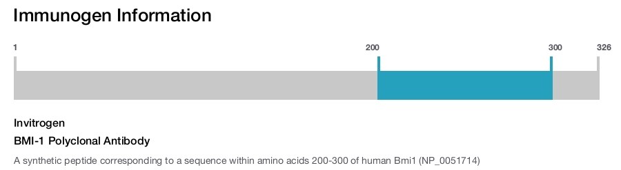 BMI-1 Polyclonal Antibody