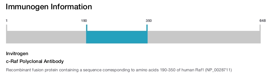 c-Raf Polyclonal Antibody