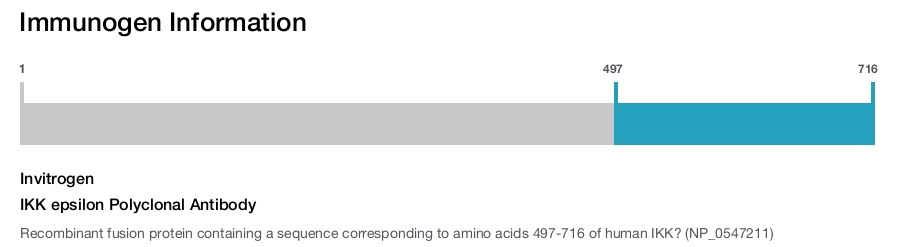 IKK epsilon Polyclonal Antibody