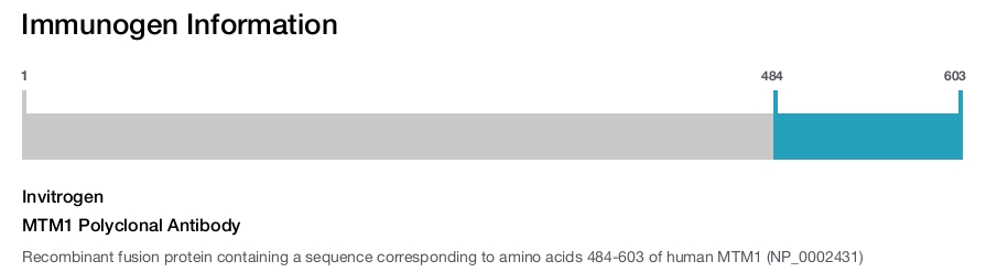 MTM1 Polyclonal Antibody