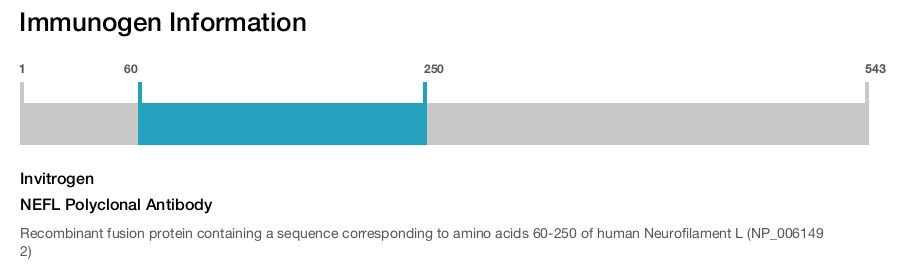 NEFL Polyclonal Antibody