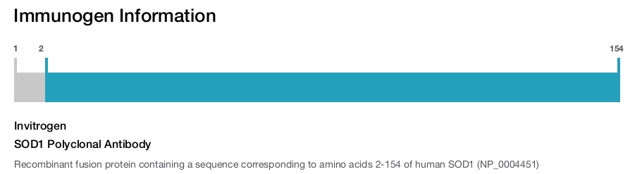 SOD1 Polyclonal Antibody