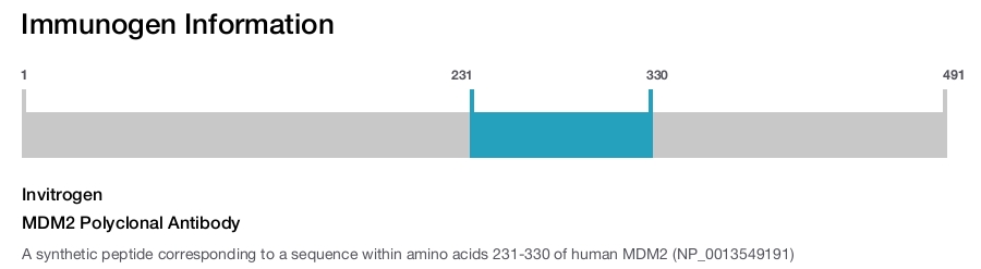 MDM2 Polyclonal Antibody