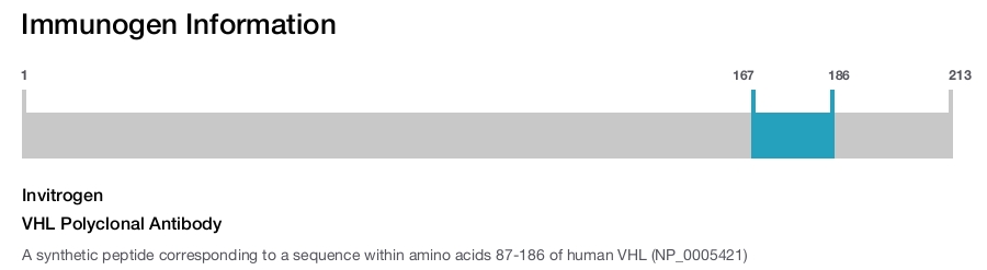 VHL Polyclonal Antibody