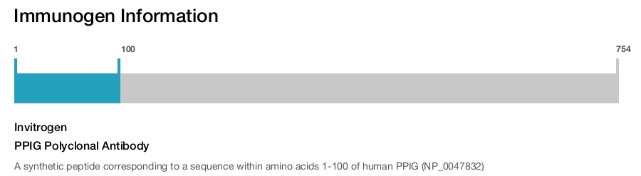 PPIG Polyclonal Antibody