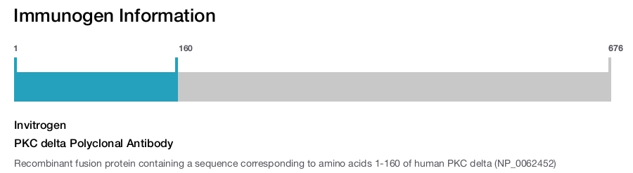 PKC delta Polyclonal Antibody