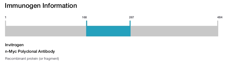 n-Myc Polyclonal Antibody