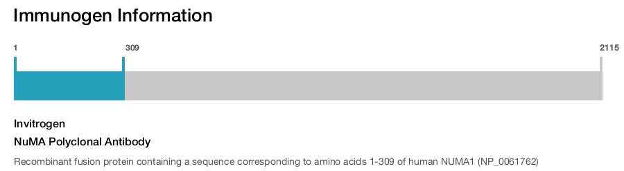 NuMA Polyclonal Antibody