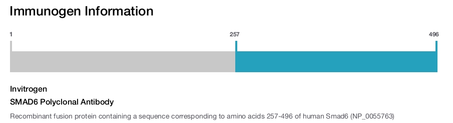 SMAD6 Polyclonal Antibody