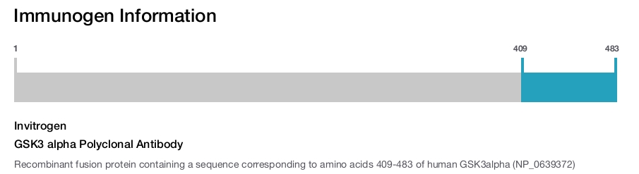 GSK3 alpha Polyclonal Antibody