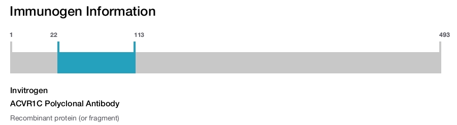 ACVR1C Polyclonal Antibody